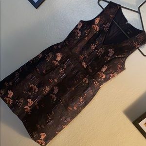 Ann Taylor dress